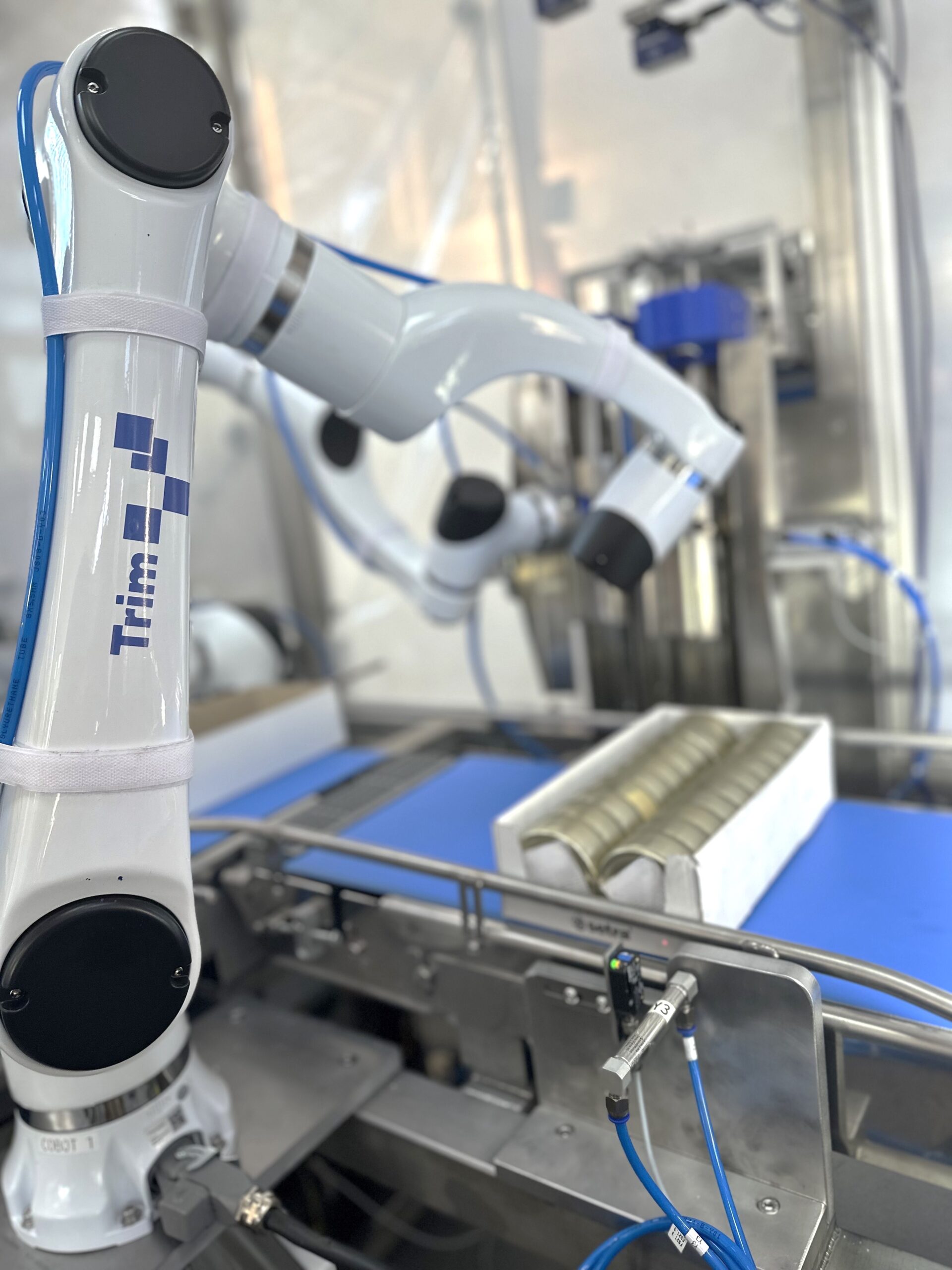 Kobot ruka na proizvodnoj liniji pakuje limenke proizvoda iz mesne industrije u kutiju i automatizuje proces pakovanja.