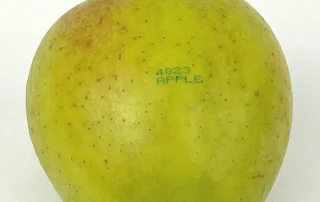 cij-apple-food-grade